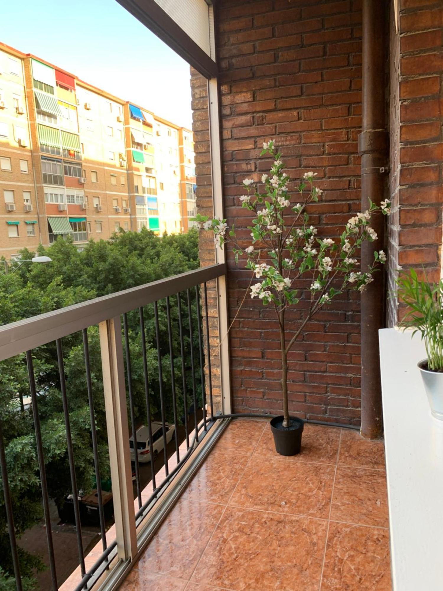 Bueno, Bonito Y Barato Apartment Малага Екстериор снимка